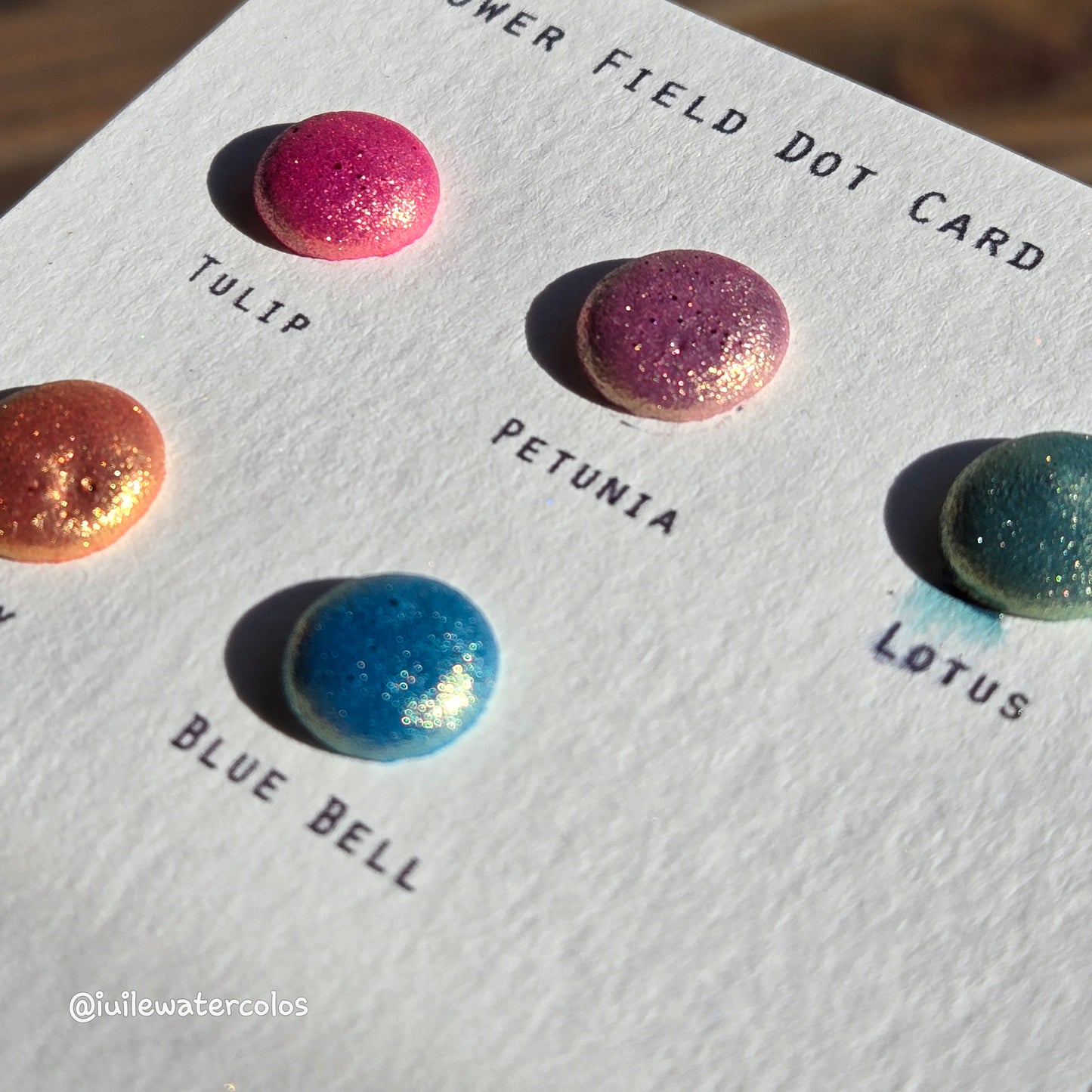 Flower Field Dot Card Handmade Chrome Super Color Shift Shimmer Watercolor Paints by iuilewatercolors