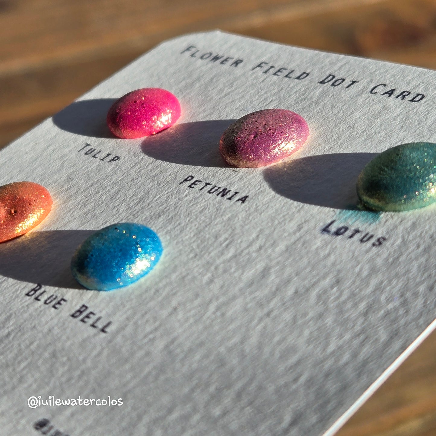 Flower Field Dot Card Handmade Chrome Super Color Shift Shimmer Watercolor Paints by iuilewatercolors