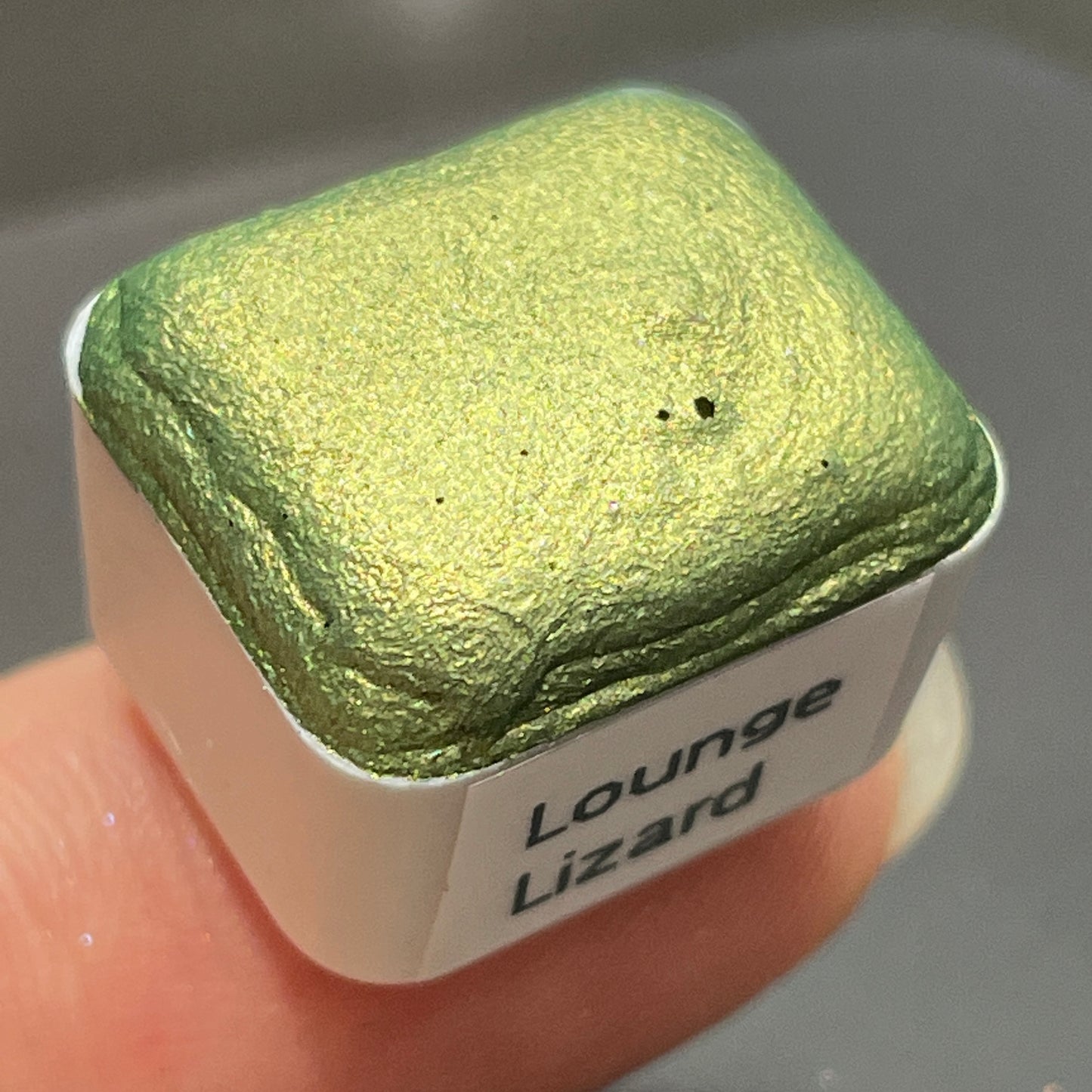 Lounge lizard green watercolor paints half pans