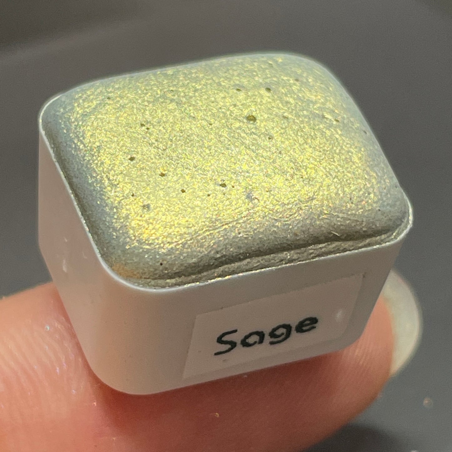 Sage green gold watercolor paints Half pan