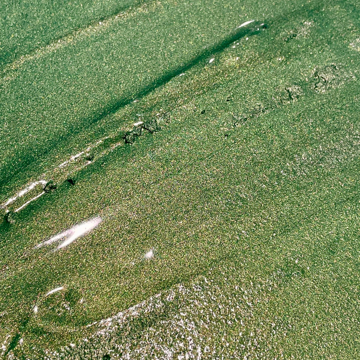 Crazy eyes green watercolor paints half pan