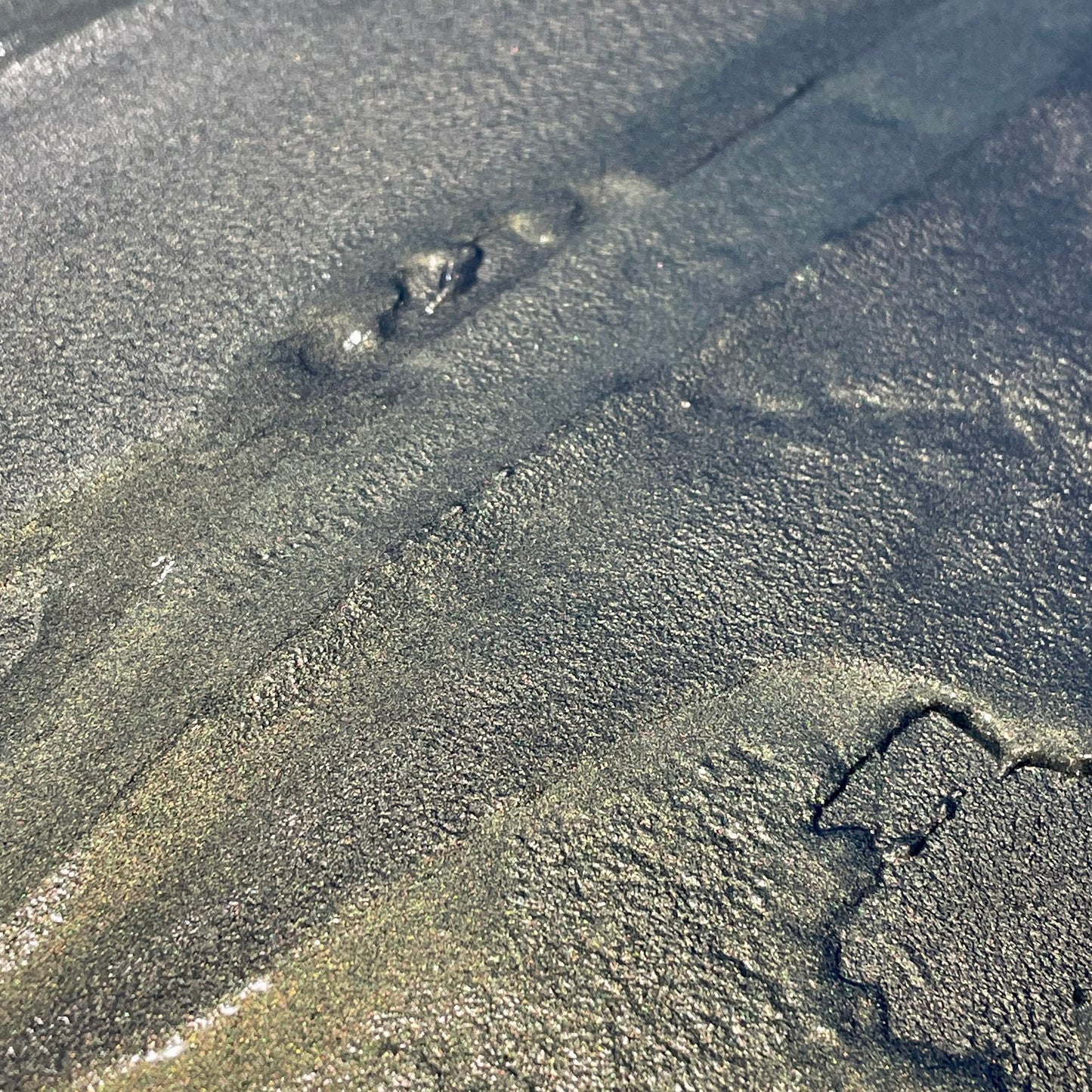 Arctic Blue Half Handmade shimmer watercolor paints