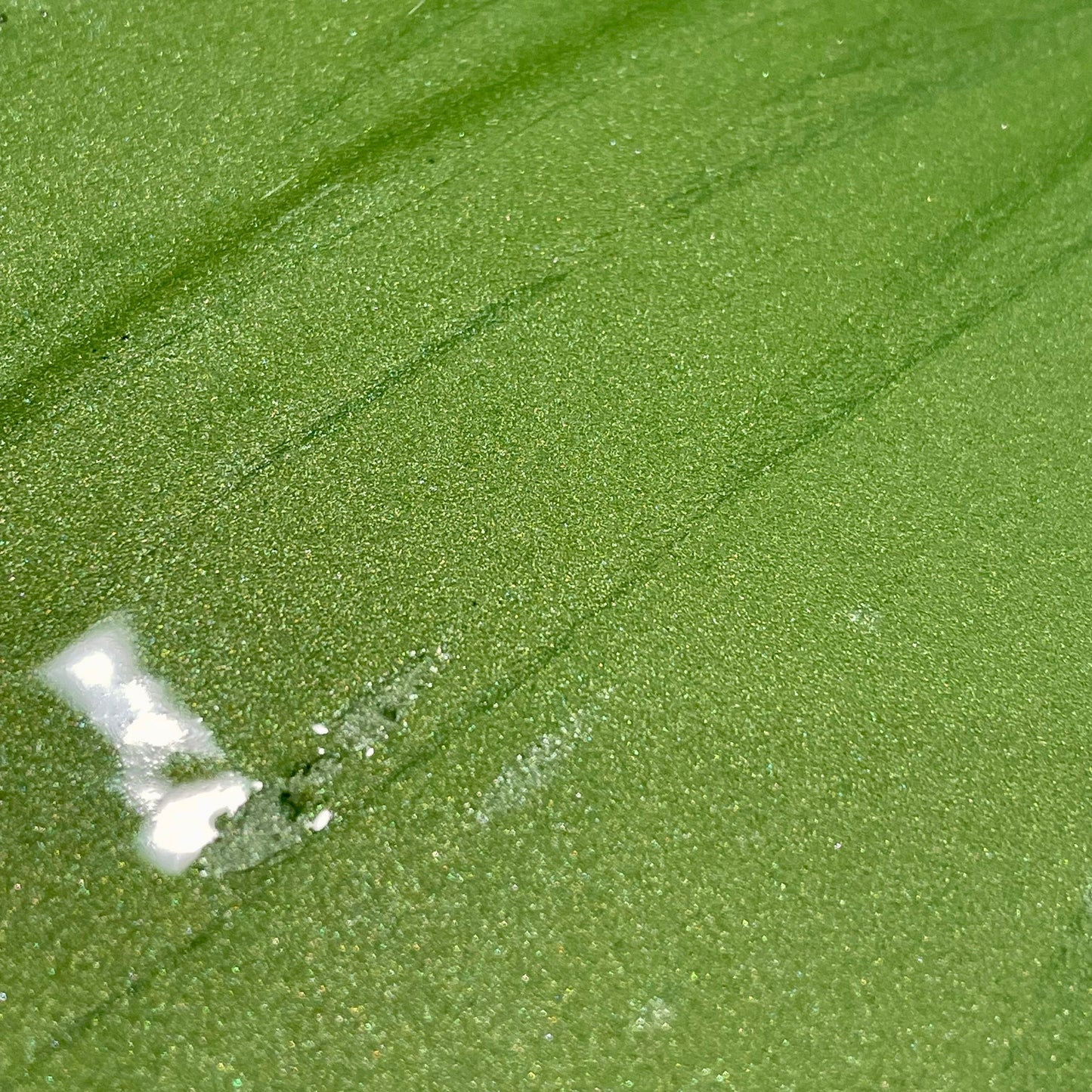 Lettuce green watercolor paints half pans