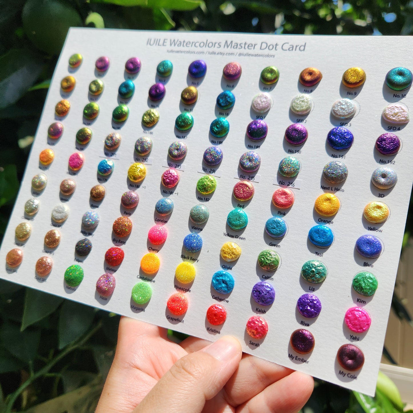 Master Tiny Dot Card Tester Sampler Limited handmade watercolor paints by iuilewatercolors