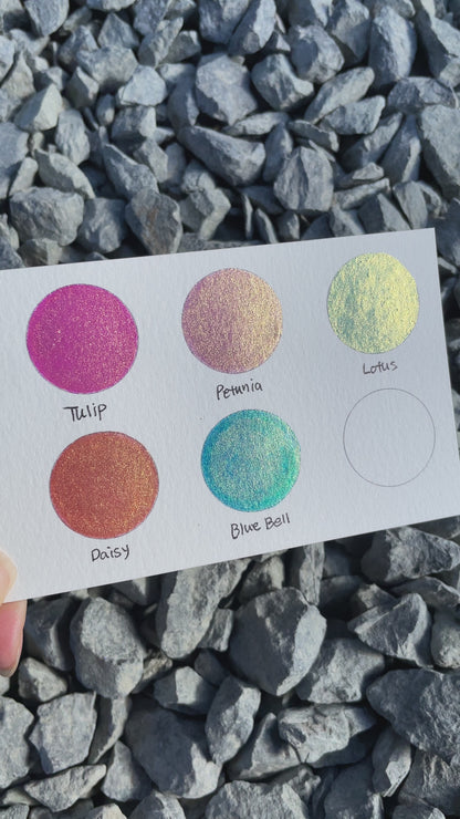 Flower Field Set Handmade Shimmer Mica Glitter Watercolor Paints