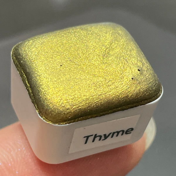 Thyme gold watercolor paints Half pan