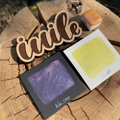Last Chance! No.100 Amazon watercolor paints Half pans
