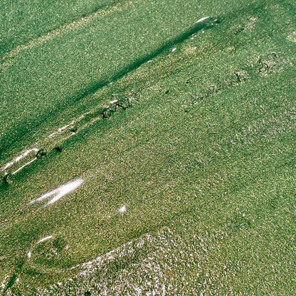 Crazy eyes green watercolor paints half pan